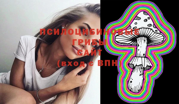 хмурый Алексин