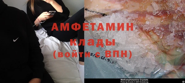 хмурый Алексин